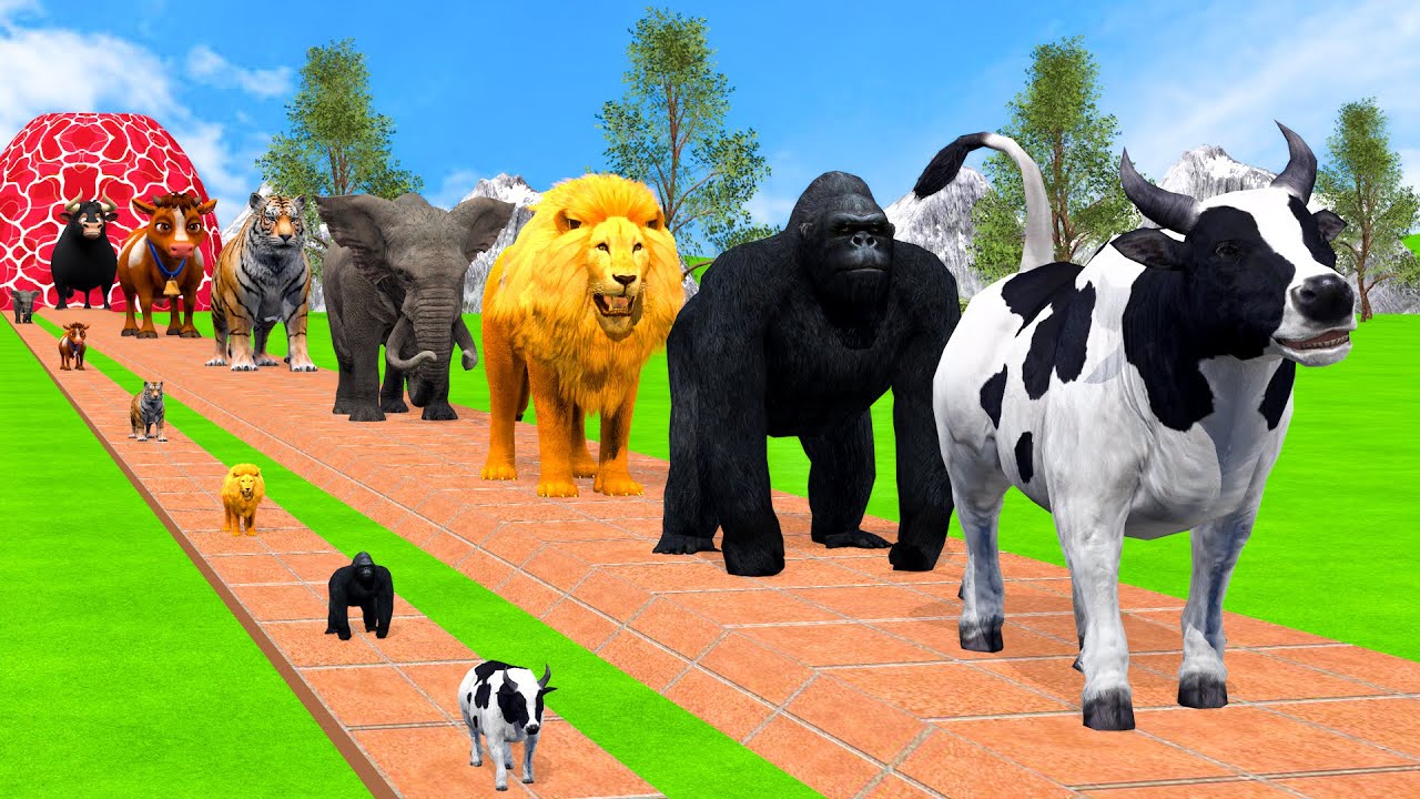 Long Slide Game With Cow Elephant Gorilla Hippopotamus Tiger - 3d Animal Game - Funny 3d Animals