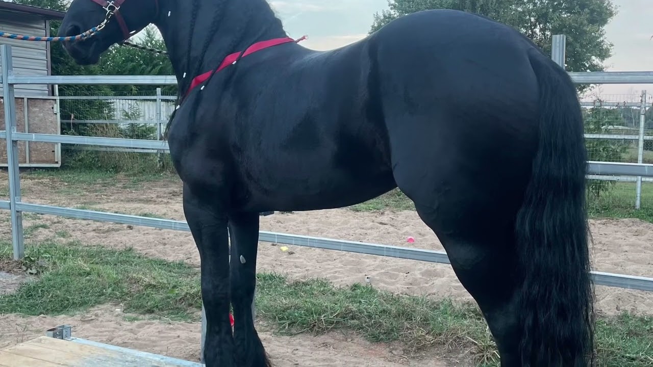 Yo soy Julio César Torres