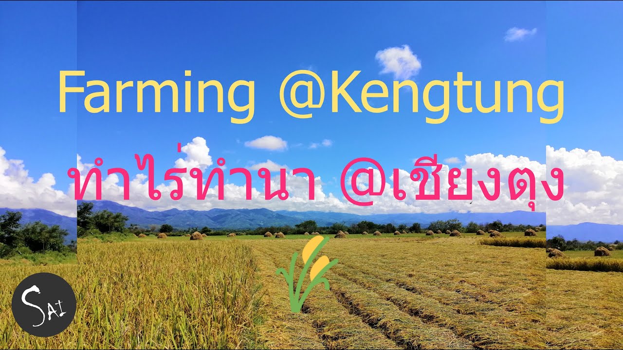 The traditional way of farming in Keng Tung Township, Eastern Shan State, Myanmar (Burma)