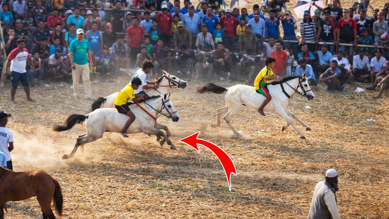 historic horse race in rural bengal | argentina vs rituraj – full speed action! thrilling race!