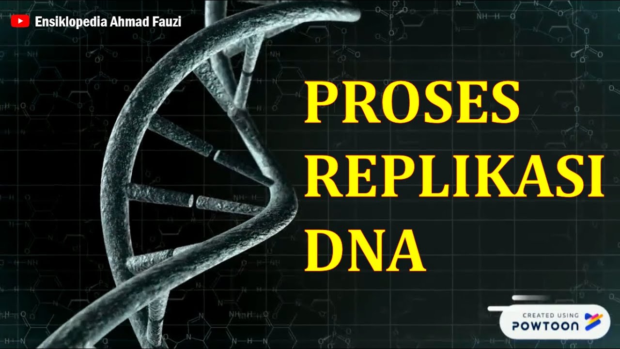 Proses Replikasi DNA pada Prokariotik dan Eukariotik