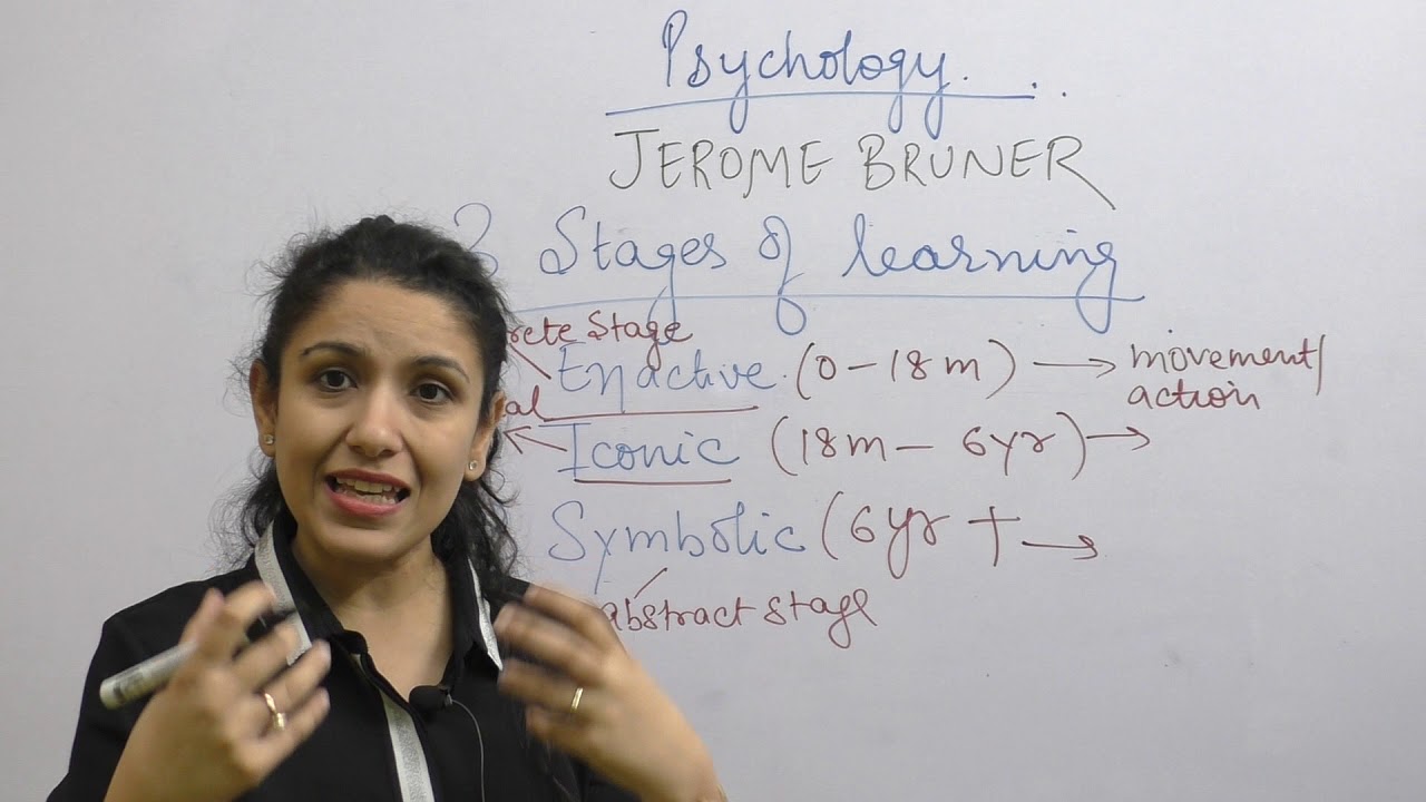 Basic Concept Bruner Theory|Child Development & Pedagogy|CTET, KVS, HTET,|2019