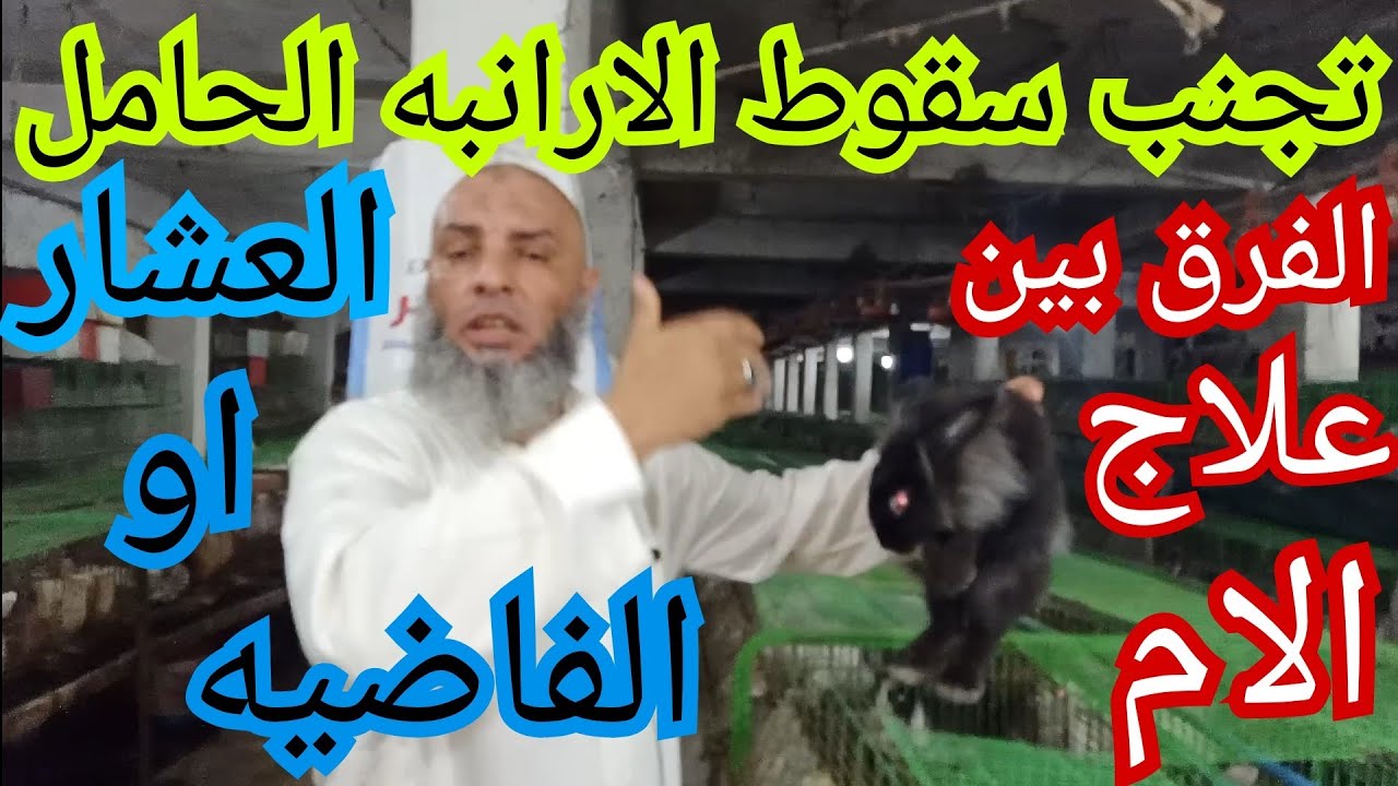 فرق بين علاج الارنبه العشار والفاضيه وعالج بذكاء يادكتور