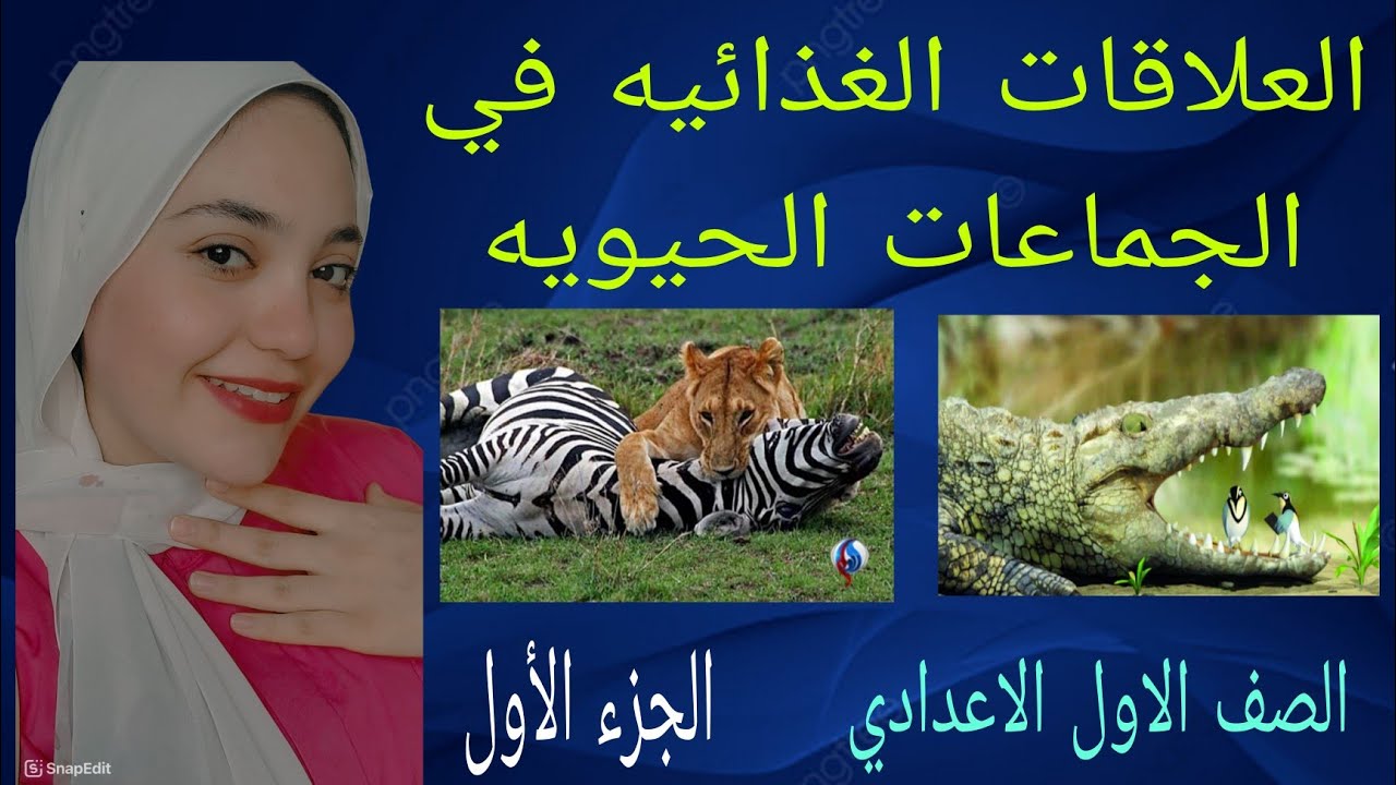 العلاقات الغذائيه في الجماعات الحيويه |علوم اولي اعدادي| الترم التاني 2025