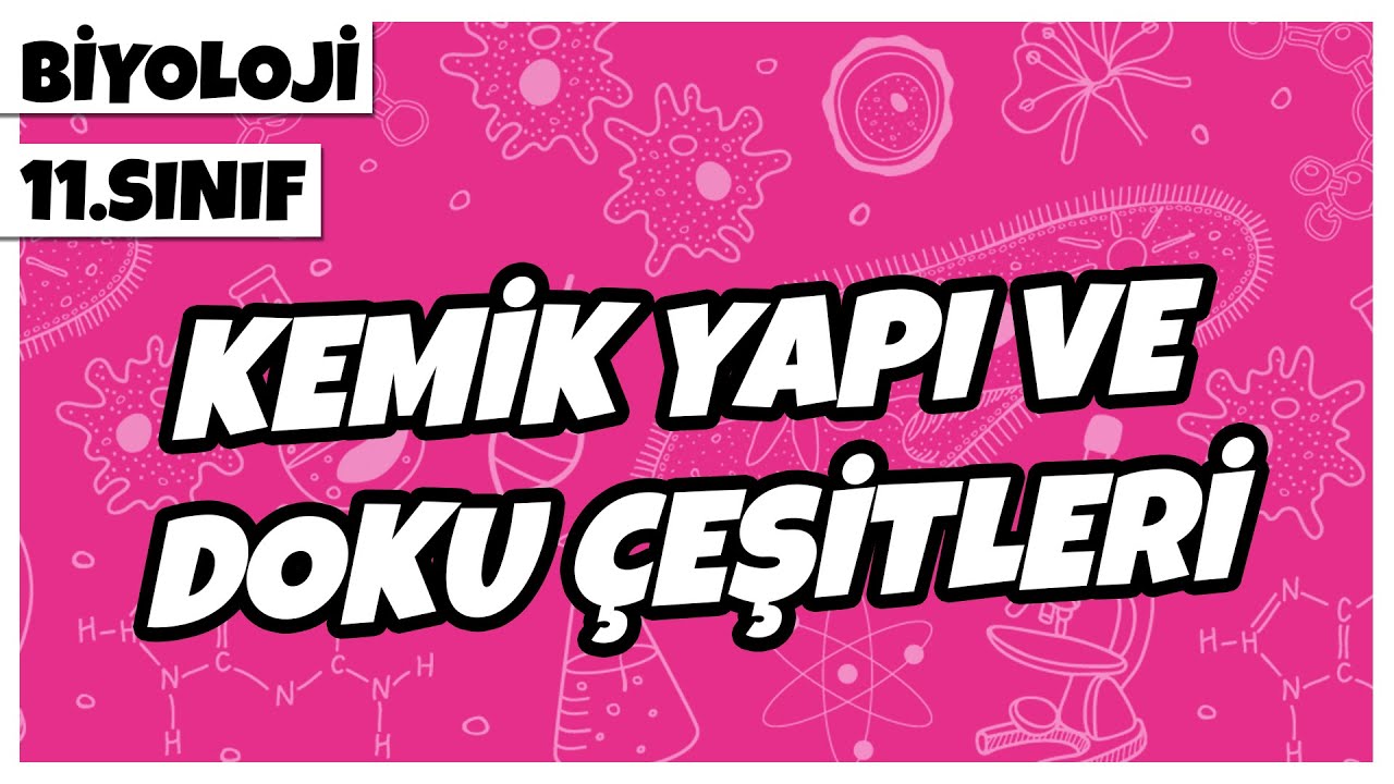 11. Sınıf Biyoloji - Kemik Doku Yapı ve Çeşitleri | 2022