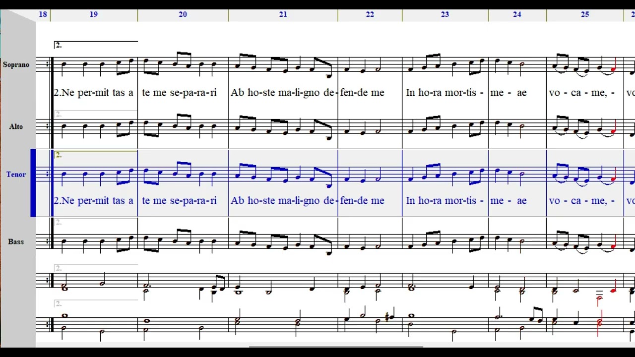 Anima Christi-TEN