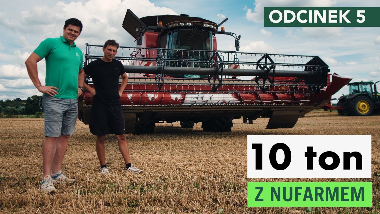 Zbiór pszenicy – finał serii 10 ton z Nufarmem (Walka z wyczyńcem odc. 5)
