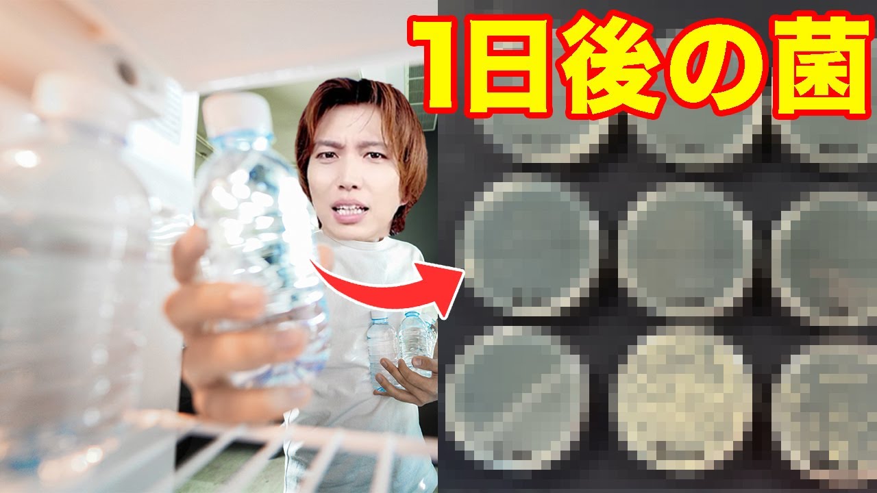 口つけたペットボトル冷蔵庫で何日保存できる？菌を目で見て検証