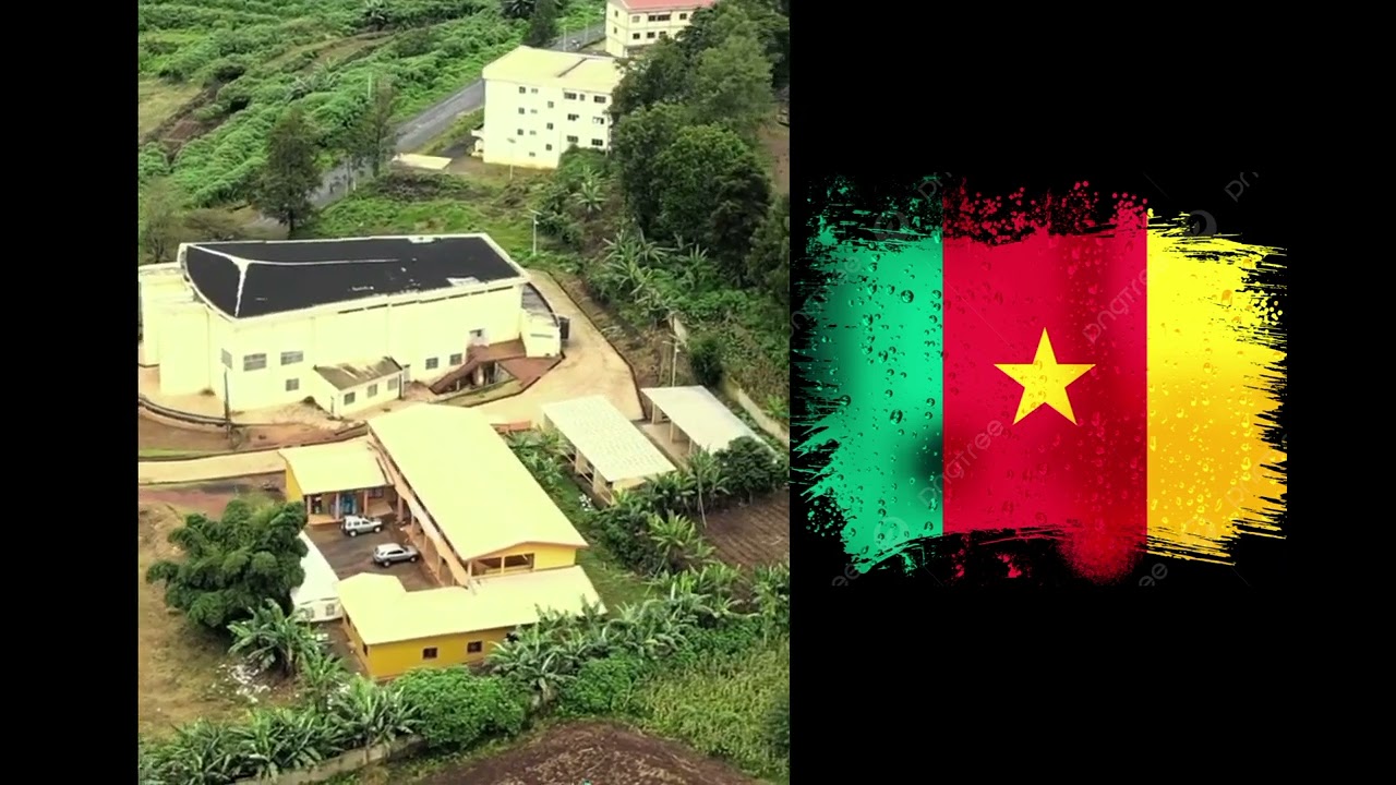 🇨🇲Universit&eacute; de Dschang 