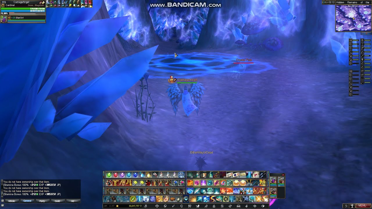 Rappelz Cardinal Solo Farming CarnageAngel Style