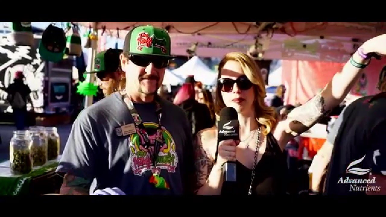 2016 HIGH TIMES SoCal Medical Cannabis Cup - Interviews Recap