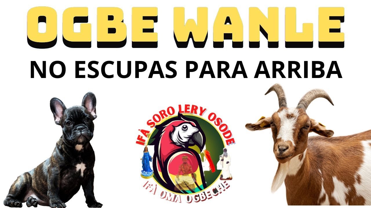 OGBE WANLE( EL OUNKO Y EL AYA)..🙏🦜