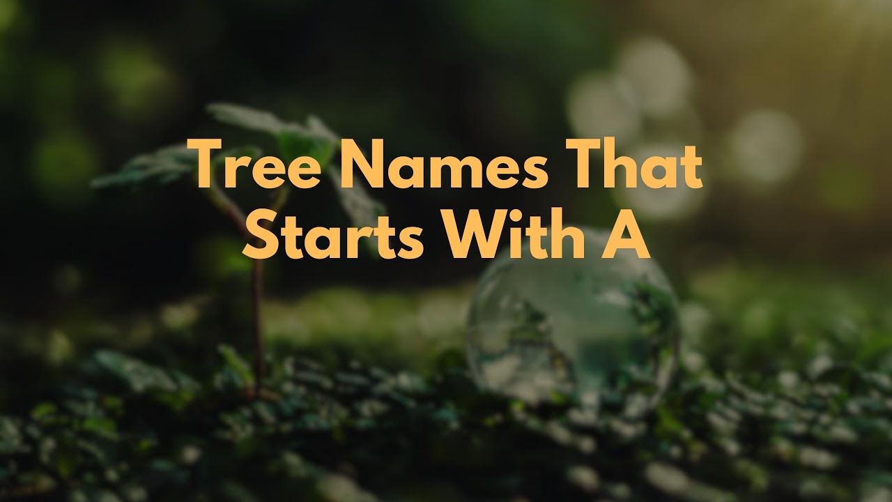 Tree Names That Starts With A