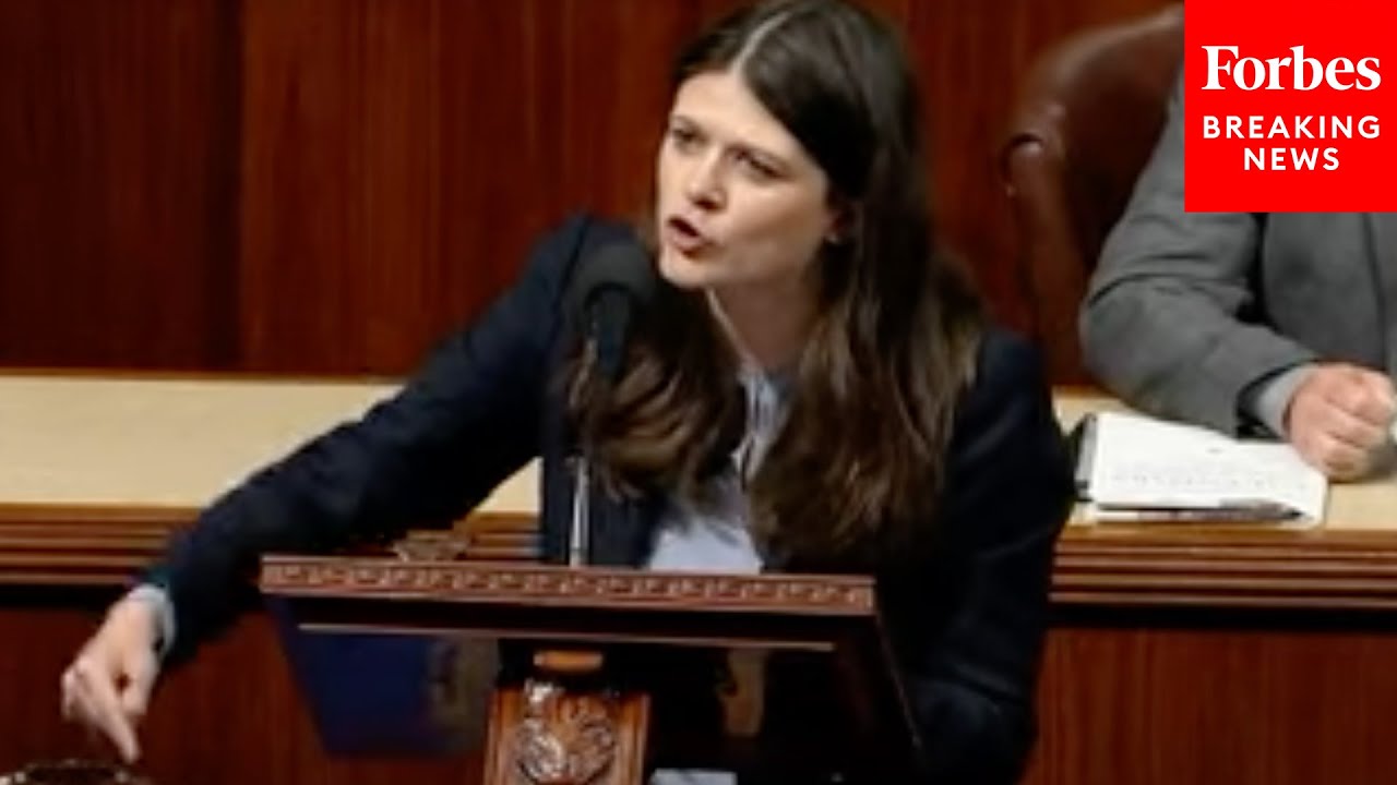 Haley Stevens Gives Passionate Speech About 'Scourge' Of Gun Violence