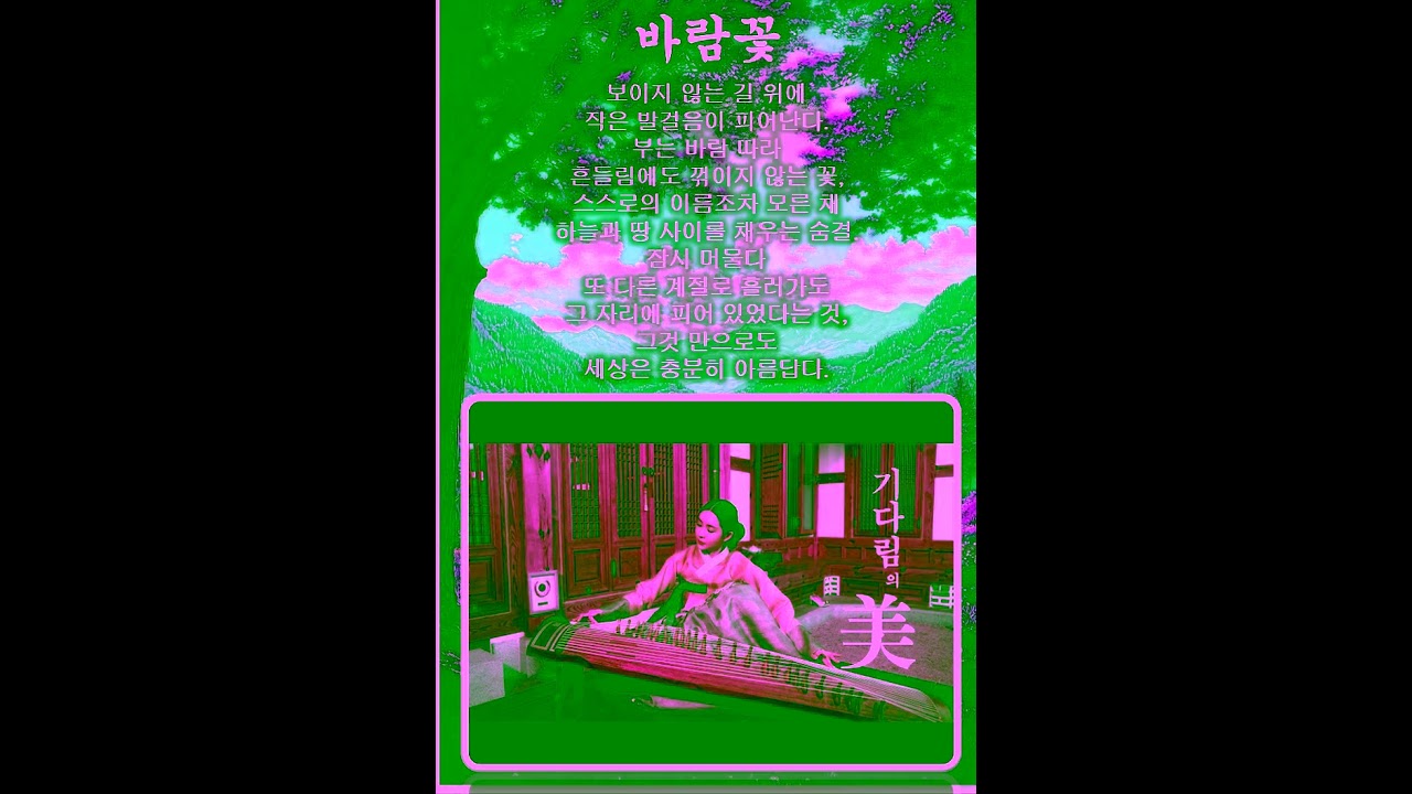 바람 꽃 동영상