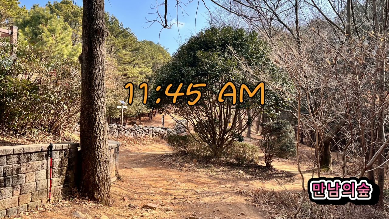 260211 백양산숲길걷기 /수백회 제198차