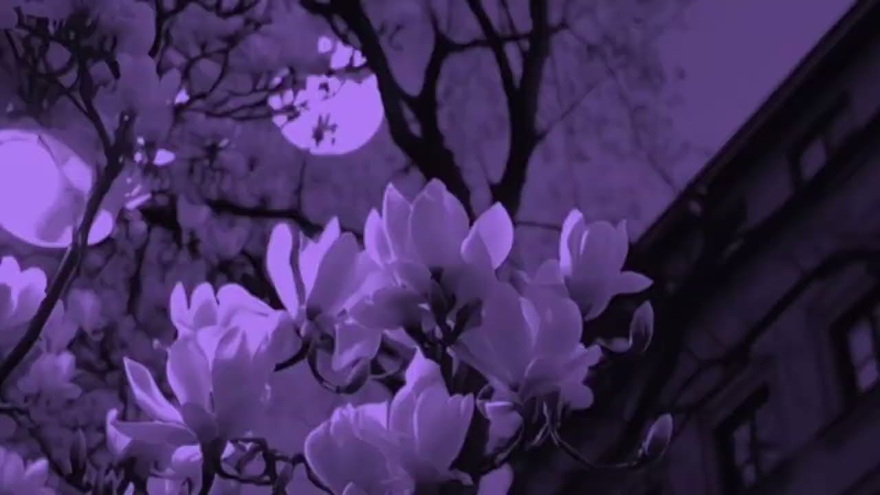 Beatriz Oak - Chill (vocal cover) @beatrizoak 