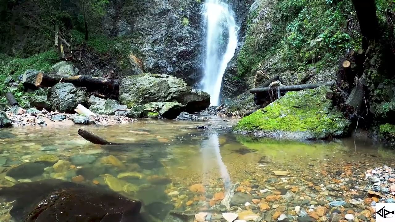 Sonido 💧 RELAJANTE de cascada para Dormir 💤 Ríos de VIDA ANTIESTRÉS
