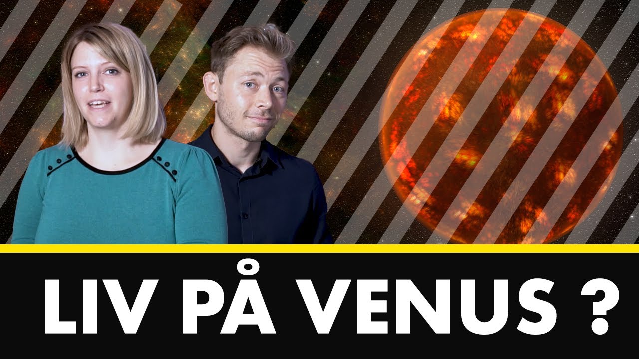 Livstegn Er Fundet! Hvad Betyder Det?