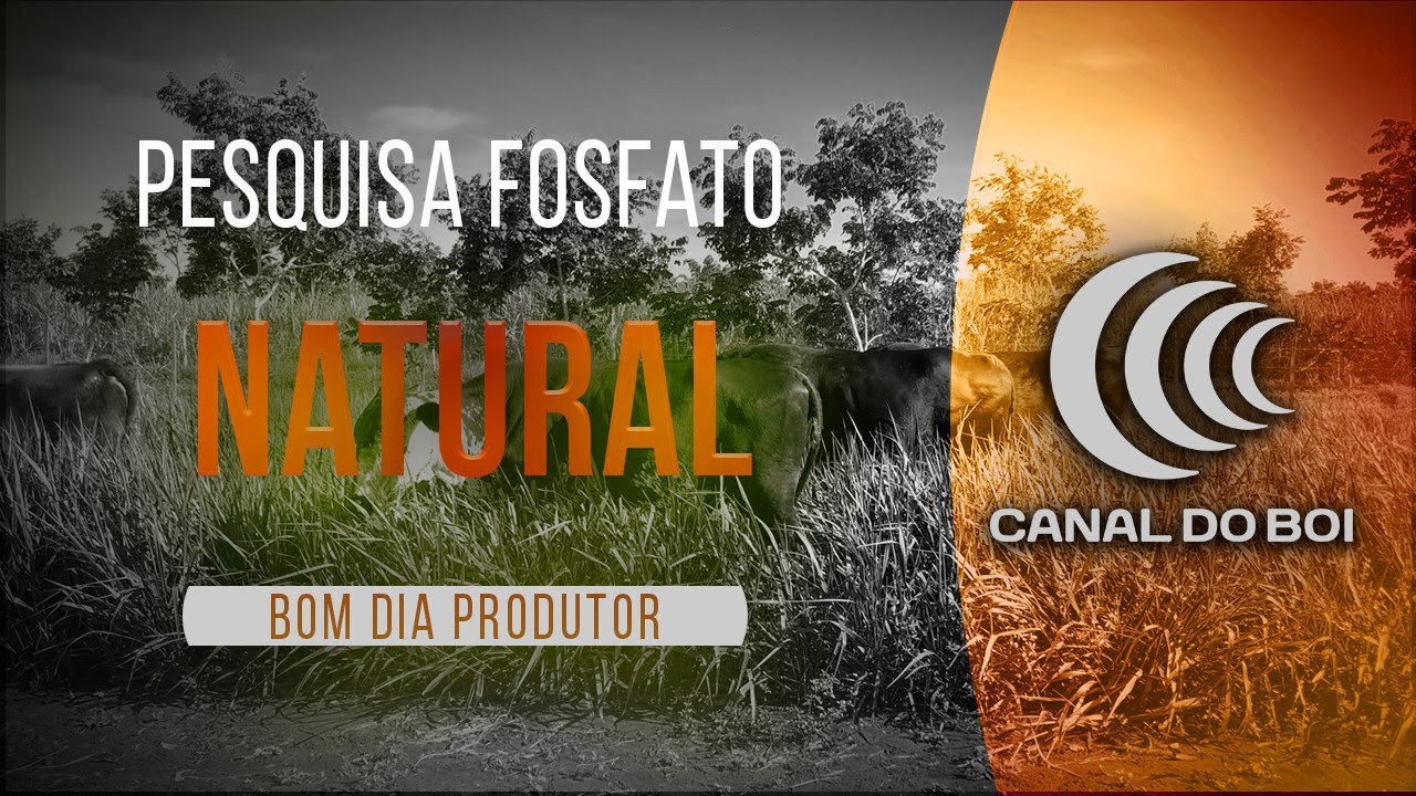 Pesquisa estuda efeito do fosfato natural de rocha na pastagem