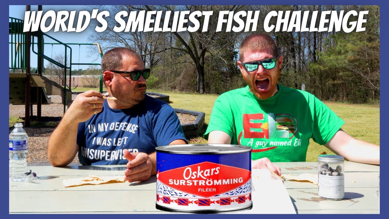 Surstromming Challenge World's Smelliest and Stinkiest Fish  in the World