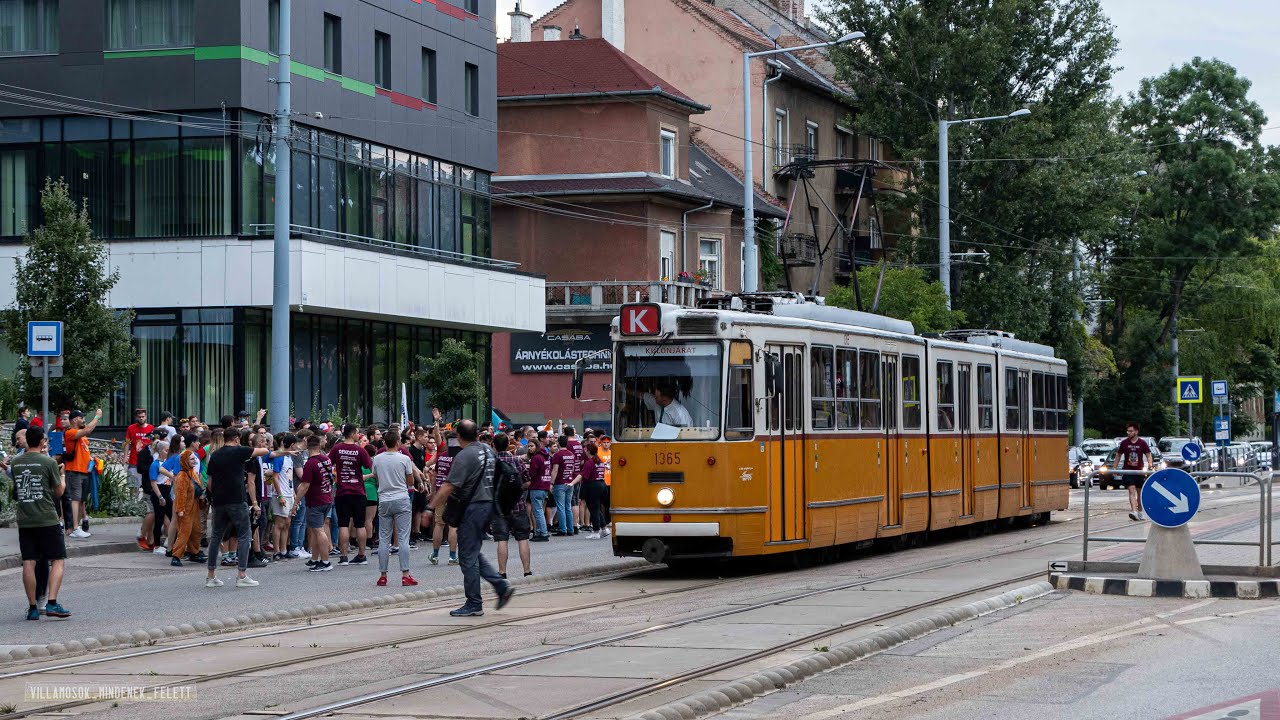 S&aacute;rga Sz&ouml;cske 2023