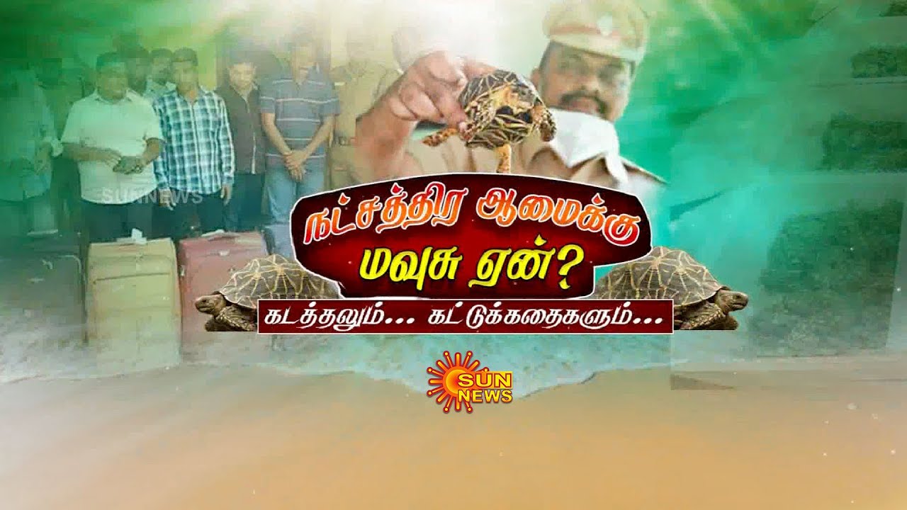 Natchathira Aamai | Star Tortoise Smuggling  | Chennai | நட்சத்திர ஆமை விற்பனை | Sun News