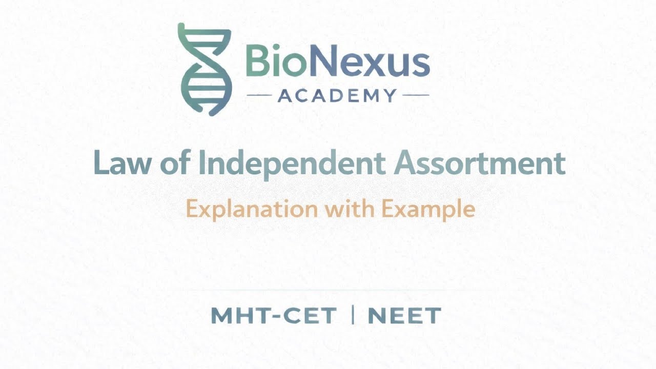 Law of Independent Assortment | Mendelian Inheritance | Genetics | HSC Biology | NEET | MHT-CET