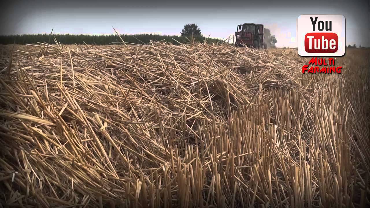 Prasowanie słomy 2014 ☆ Belarus 820.2 ㋡ KamionkiTeam