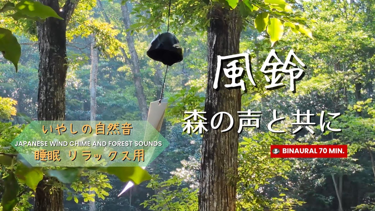 風鈴と鳥のさえずり｜涼やかな森の癒し自然音【70分・立体音響】睡眠・リラックス・瞑想に