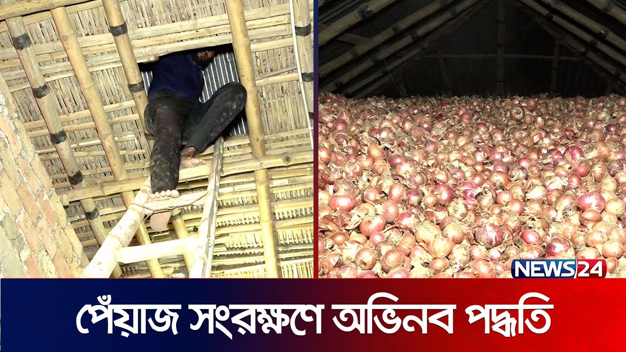 সরকারের অভিনব উদ্যোগে বাঁচবে পেঁয়াজ! | Onion | PM | News24