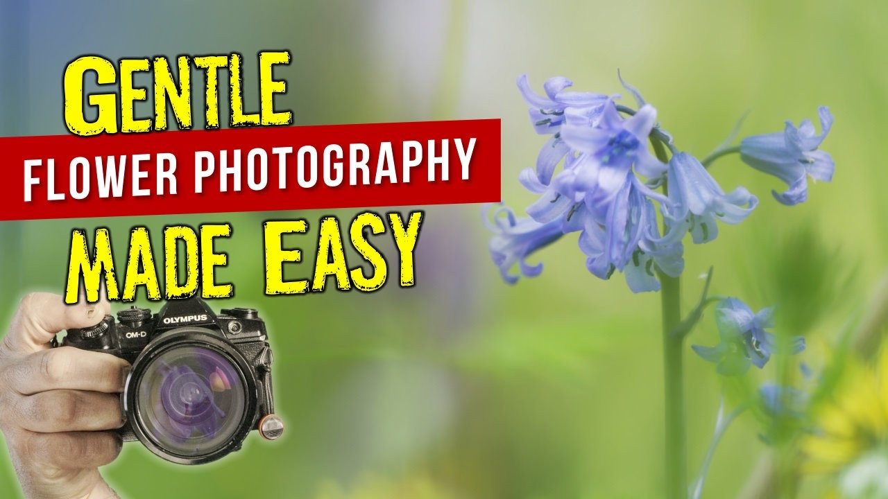 How I made these gentle flower photos - it's simple and you can do it too