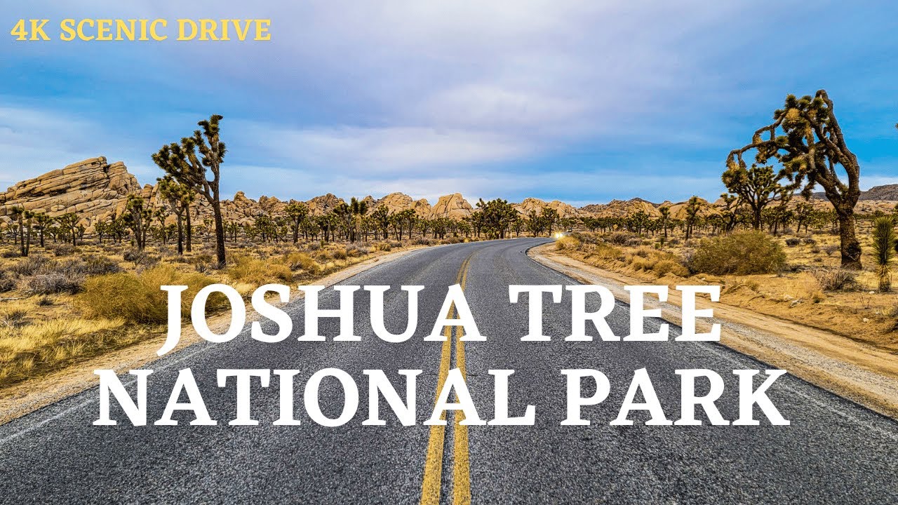 The Ultimate Joshua Tree National Park Driving Tour 4K
