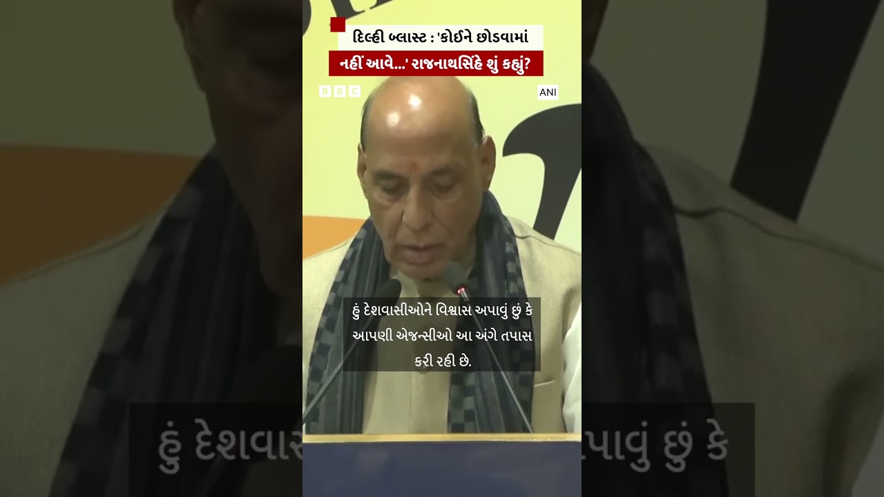 What did Rajnath Singh say about the Delhi Red Fort Blast?
