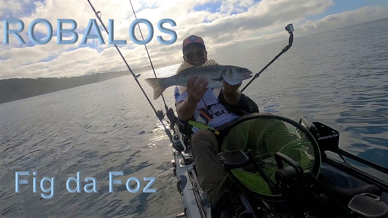 ROBALOS - Pesca na Figueira da Foz