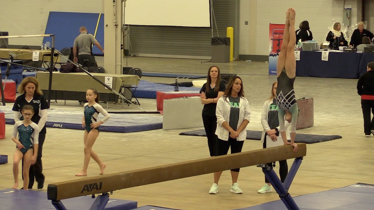 Indiana Judges Cup 2019 - Level 4 Gymnastics Meet