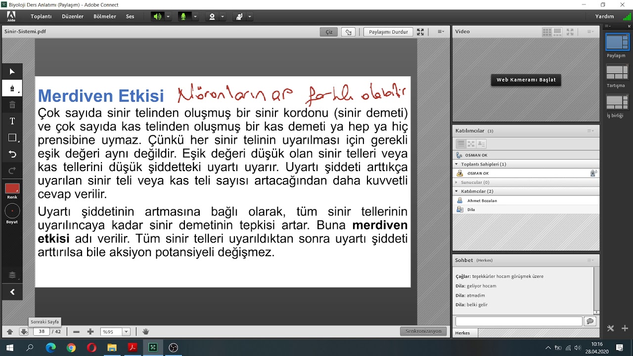 Sinir Sistemi 3