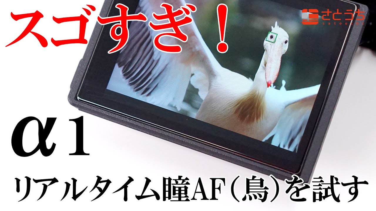 スゴすぎ！ &alpha;1 リアルタイム瞳AF（鳥）を試したら スゴかった!  ※この動画は静止画を貼り付けただけのため無音です。