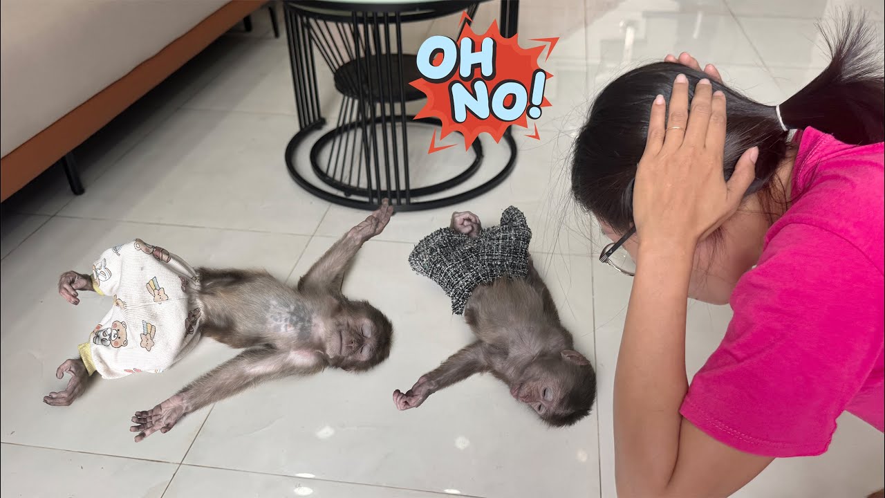 A Heart Stopping Moment! Mom Panics When She Sees Lucky and Sunny Lying Motionless in the House