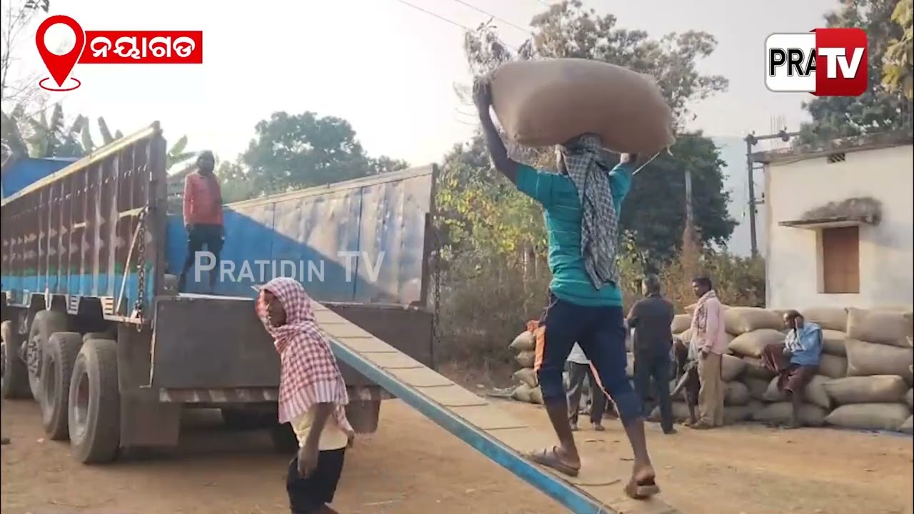 ରଣପୁରରେ ଧାନ କୁଇଣ୍ଟାଲ ପିଛା,  ୮ କେଜି ହେଉଛି କଟଣୀ ଛଟଣୀ l Massive corruption in paddy procurement  ,