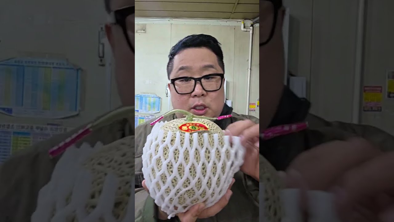 리어카를 탄 과일장수 라이브 스트리밍 중