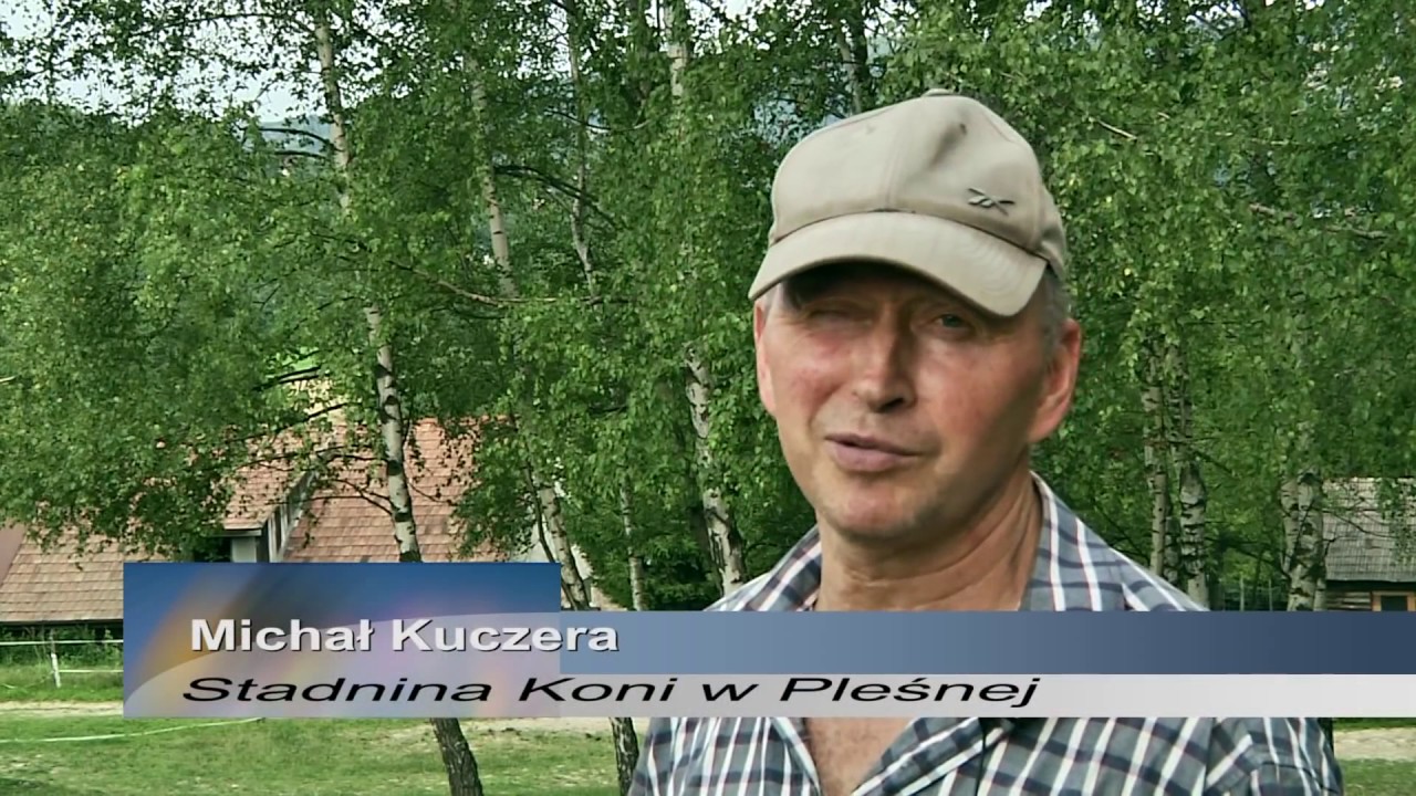 MZHK : Koń Małopolski Perłą Regionu