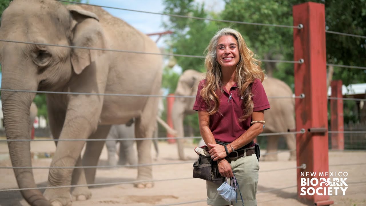 “Your Dose of Vitamin Z” - Episode 13 - Elephants!