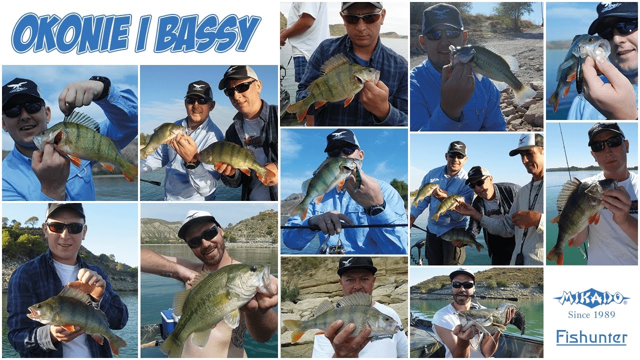 Okonie i Bassy // Rio Ebro Hiszpania