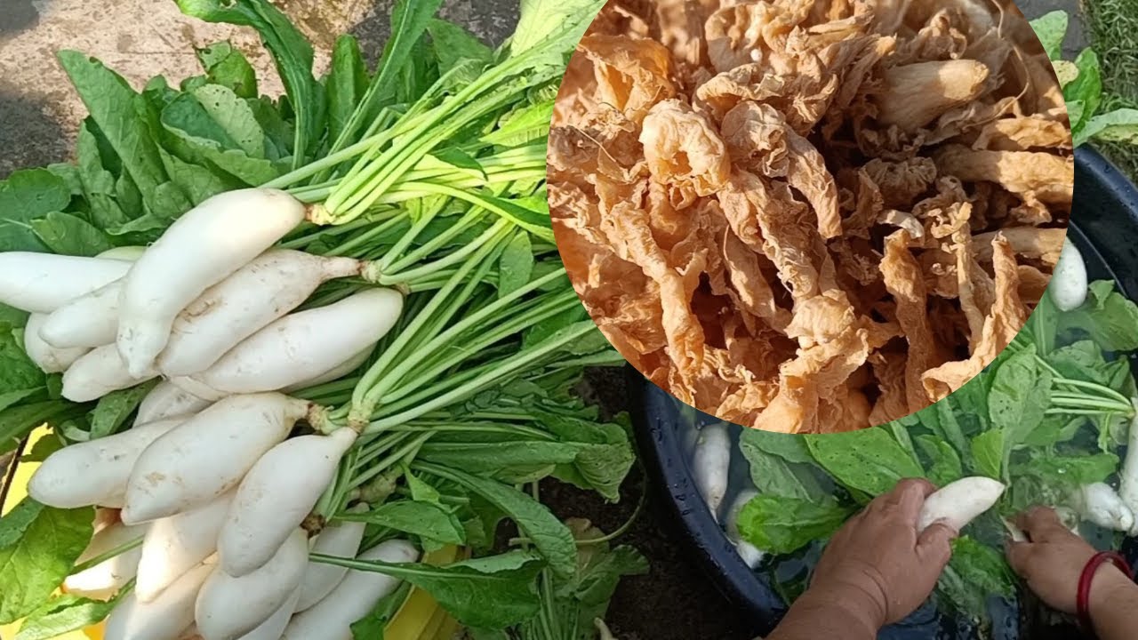 मुलाको  सिन्की (Sinki) , fermented radish, delicacy of cold season, in Terai