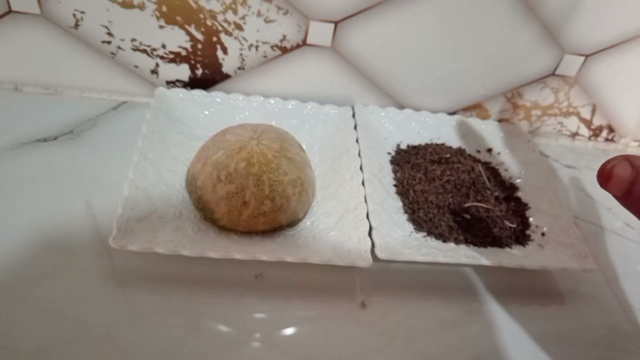 وصفة ديل الرجلين 