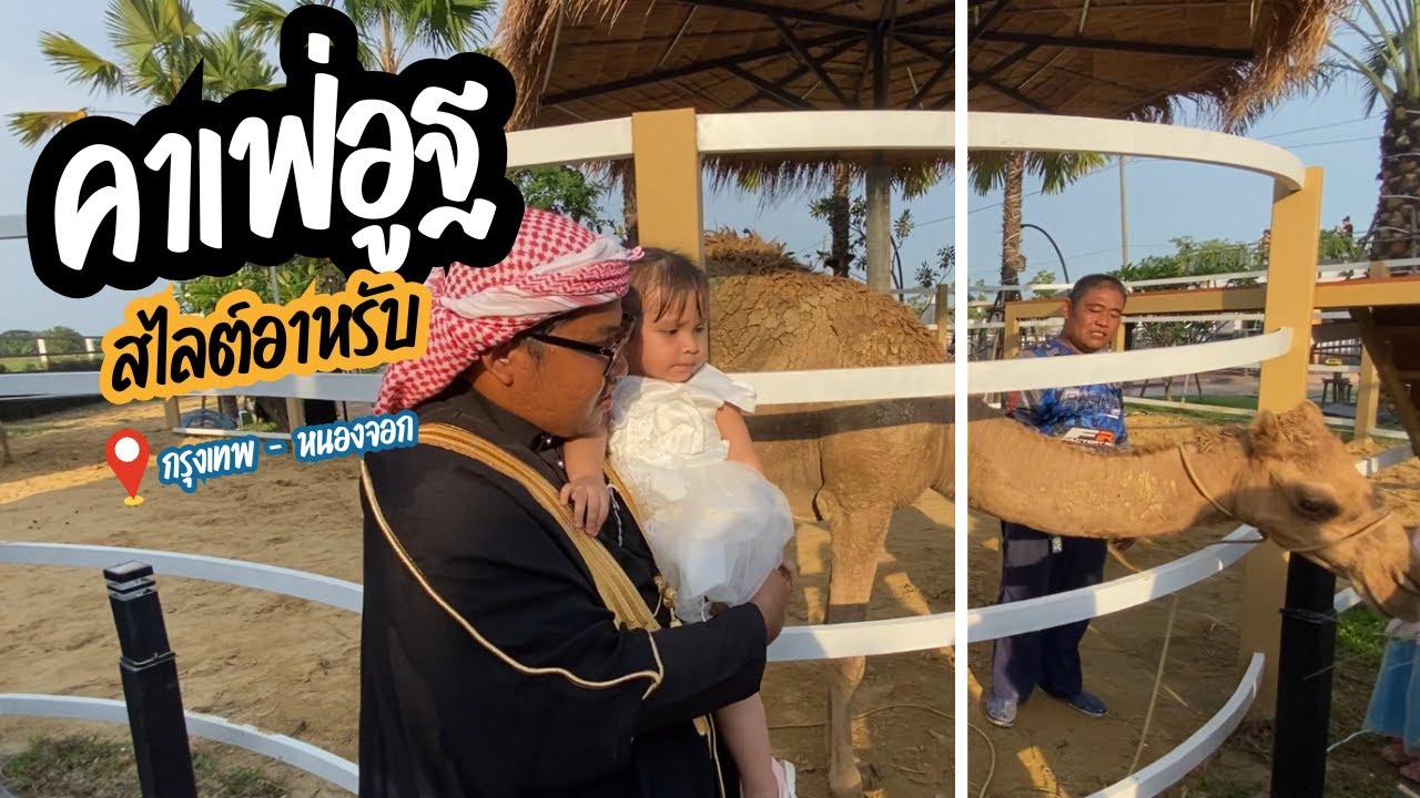 [Roymee Travel EP.4]  คาเฟ่อูฐเปิดใหม่ Camels Cafe หนองจอก