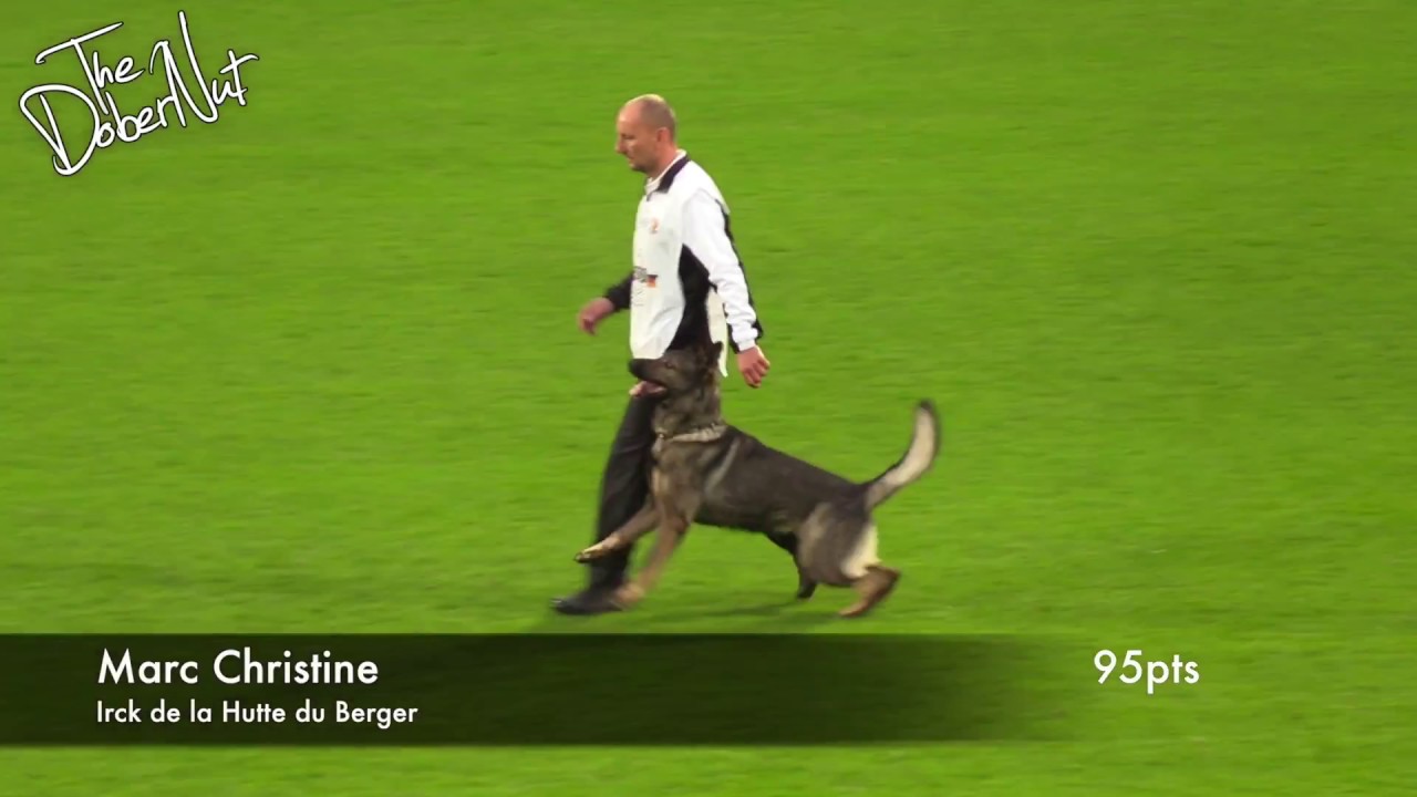 WUSV 2017 Marc Christine Irck de la Hutte du Berger B Obedience 95pts