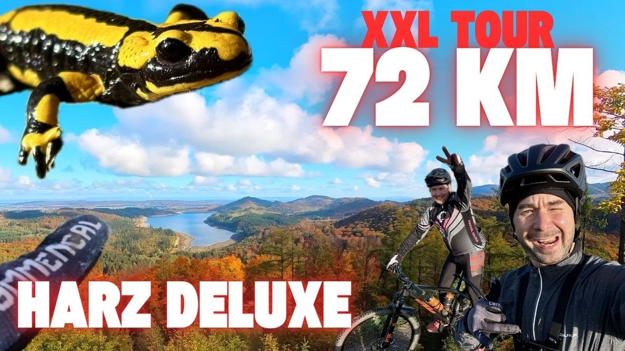 XC Trail Tour im herbstlichen Harz | Radon Jealous #mtb #harz #mountainbiking