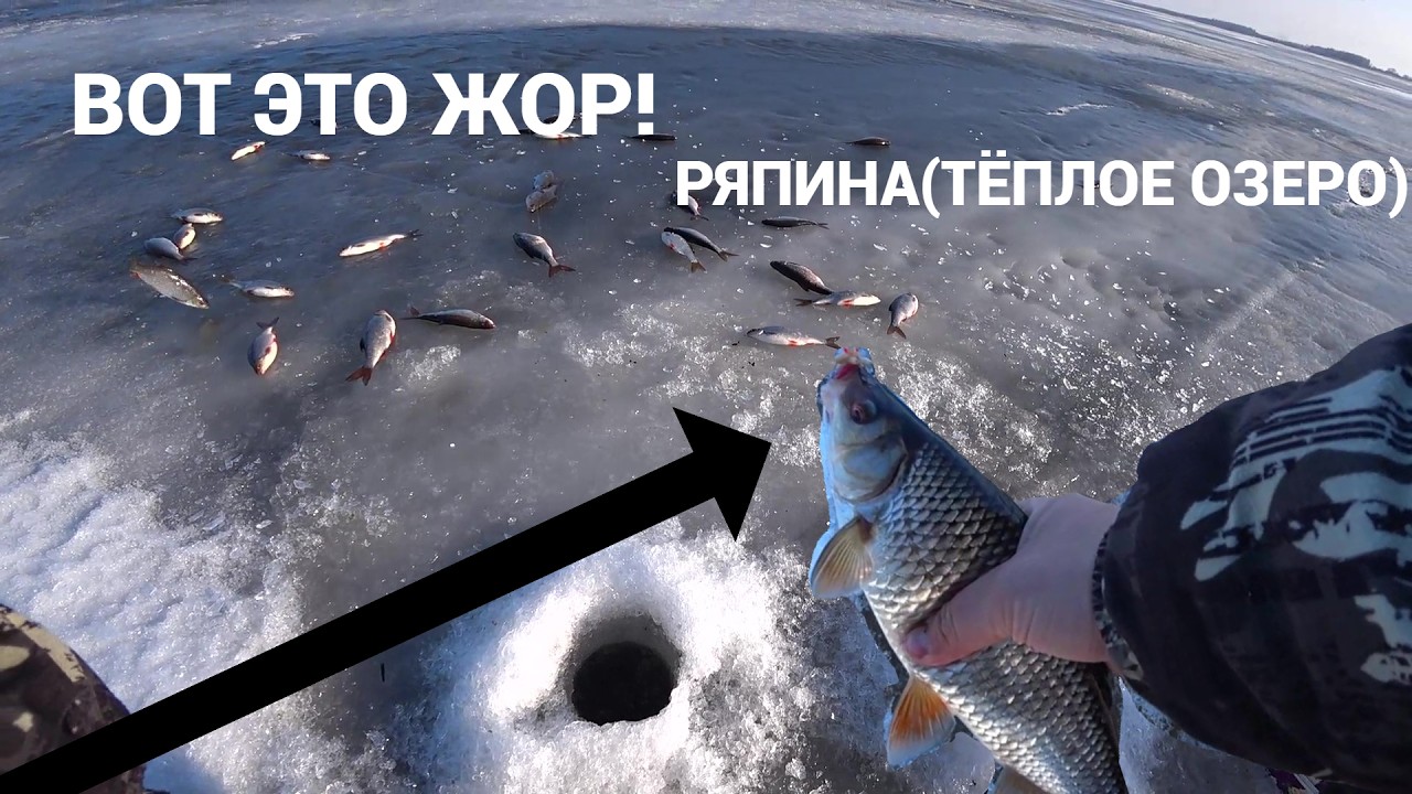 МНОГО КРУПНОЙ ПЛОТВЫ! ВЕСЕННИЙ ЖОР! ЗАКРЫТИЕ СЕЗОНА НА ЧУДСКОМ ОЗЕРЕ!